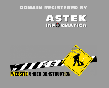 Astek Informatica